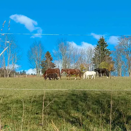 In 2207 Semesterbostad